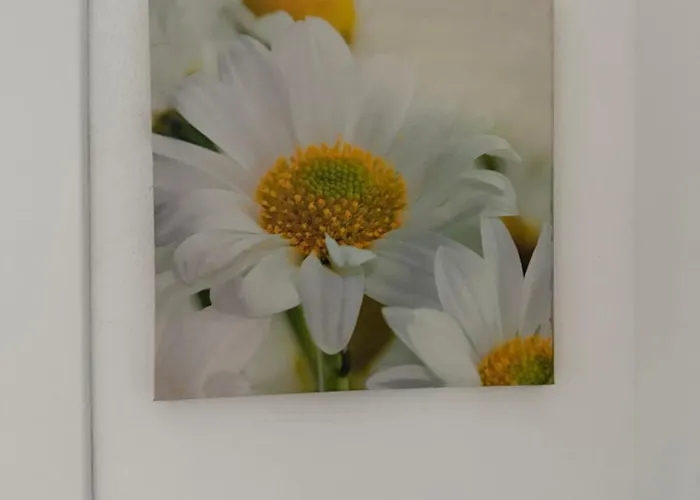 Casa Simonetta Apartamento *