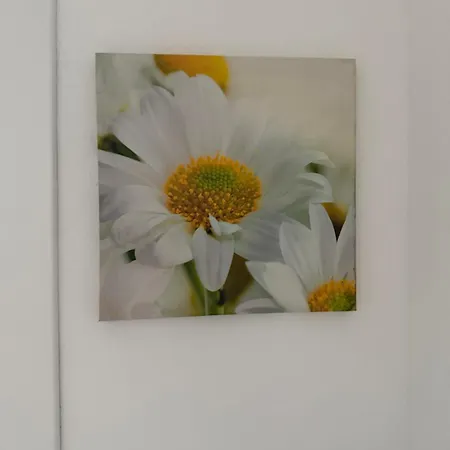 Casa Simonetta Apartamento *